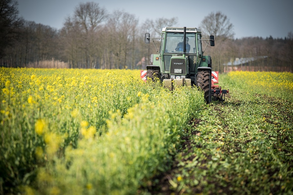 Biogas anlage