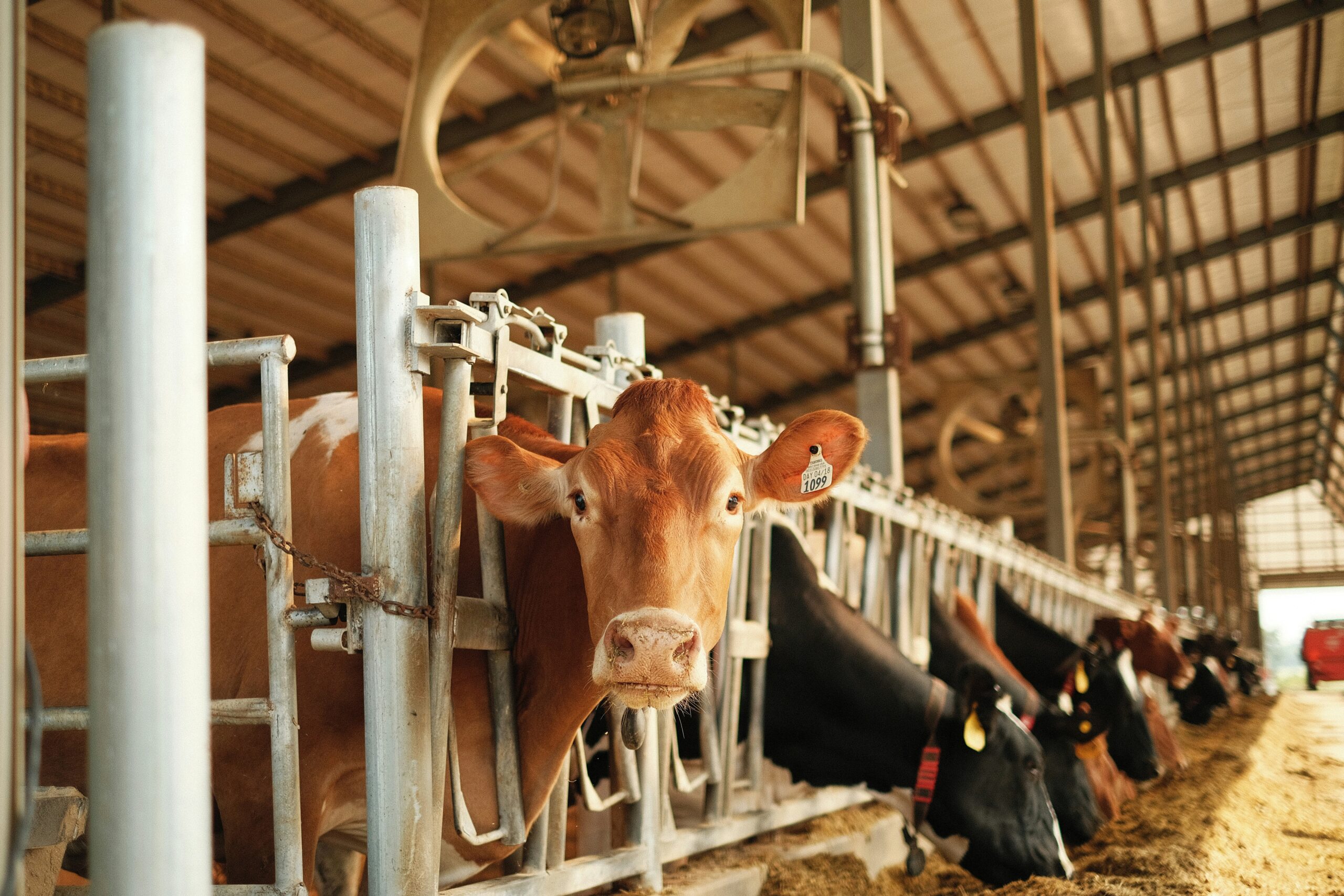 Technikschutz Landwirtschaft